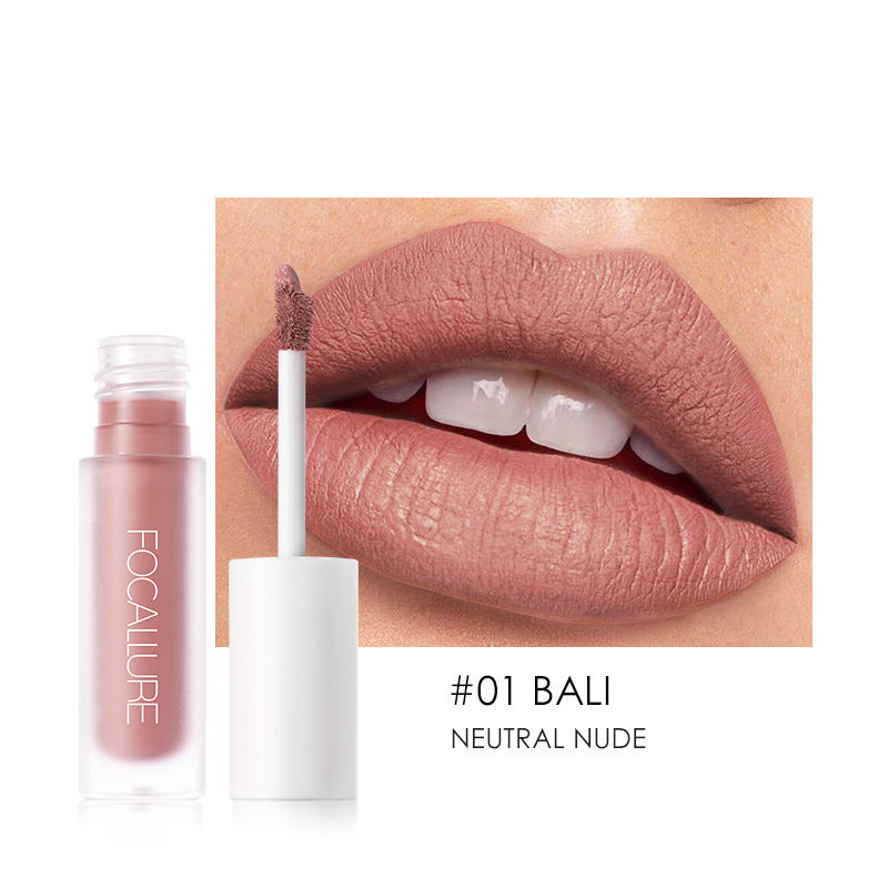 Mini Nude Matte Lip Gloss